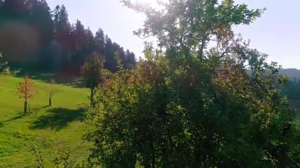 Yazın Tarım Arazisindeki Kırsal Sokak Yüksek Kaliteli Fullhd Görüntüler — Stok video