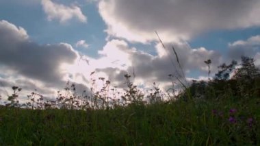 Gün batımında bulutlu çayırların zamanı. Yüksek kalite 4k görüntü