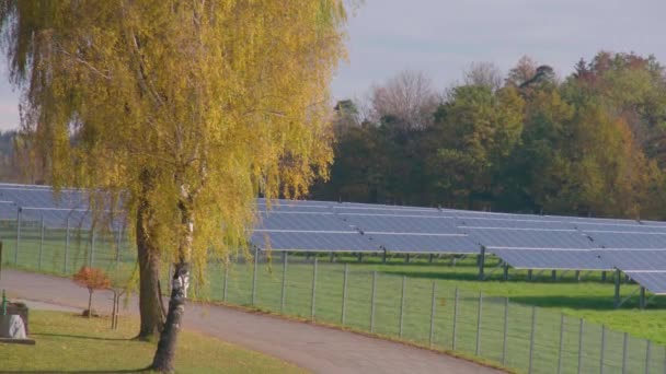 Sonnenkollektoren Mit Sonnenblumen Auf Dem Feld Hochwertiges Filmmaterial — Stockvideo