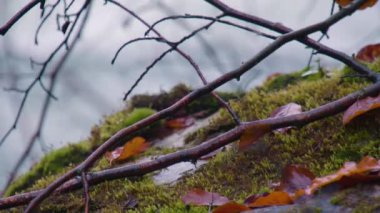 Hinterstoder yakınlarındaki Steyr Nehri 'nde vahşi su. Yüksek kalite 4k görüntü