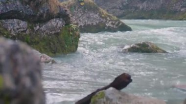 Hinterstoder yakınlarındaki Steyr Nehri 'nde vahşi su. Yüksek kalite 4k görüntü