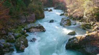 Hinterstoder yakınlarındaki Steyr Nehri 'nde vahşi su. Yüksek kalite 4k görüntü