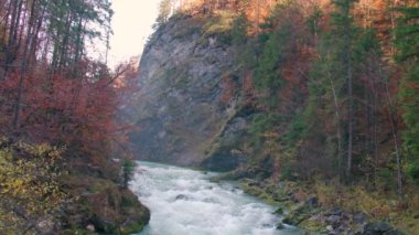 Hinterstoder yakınlarındaki Steyr Nehri 'nde vahşi su. Yüksek kalite 4k görüntü