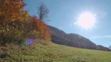 Spitzmauer manzaralı Hinterstoder manzarası. Yüksek kalite 4k görüntü