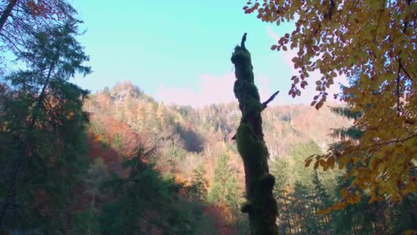 Pfanne Über Alpinen Wald Herbst Auf Den Berg Hochwertiges Filmmaterial — Stockvideo