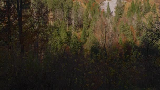 Pánev Přes Alpský Les Podzim Hoře Vysoce Kvalitní Záběry — Stock video