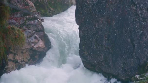 Divoká Voda Řeky Steyr Hinterstoderu Vysoce Kvalitní Záběry — Stock video