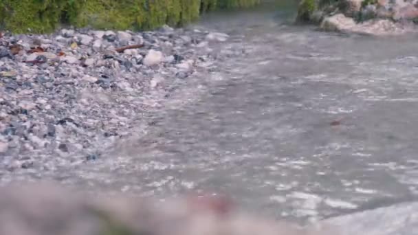 ヒンターストッダー近くのスティアー川での野生の水 高品質4K映像 — ストック動画