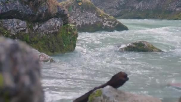 Acqua Selvaggia Fiume Steyr Vicino Hinterstoder Filmati Alta Qualità — Video Stock