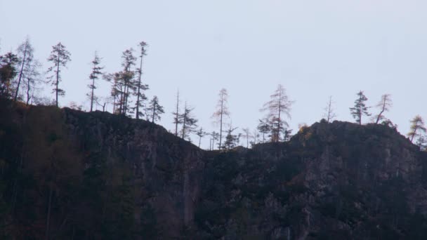Pánev Přes Alpský Les Podzim Hoře Vysoce Kvalitní Záběry — Stock video