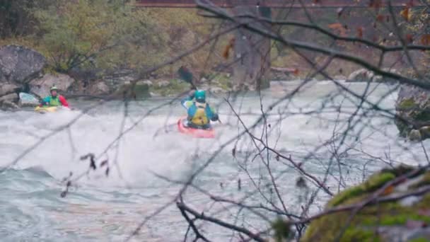 Grupo Kayak Remando Río Steyr Agua Salvaje Cerca Hinterstoder Imágenes — Vídeo de stock