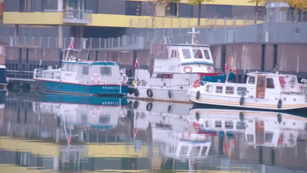Boote Hafen Und Bunker Der Nähe Der Donau Hochwertiges Filmmaterial — Stockvideo
