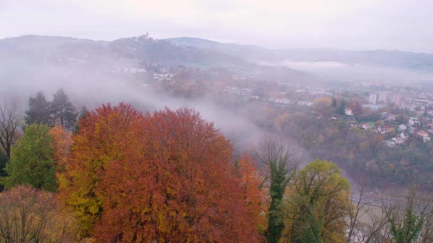 Pan Przez Dolinę Dunaju Pobliżu Linz Poestlingberg Wysokiej Jakości Materiał — Wideo stockowe