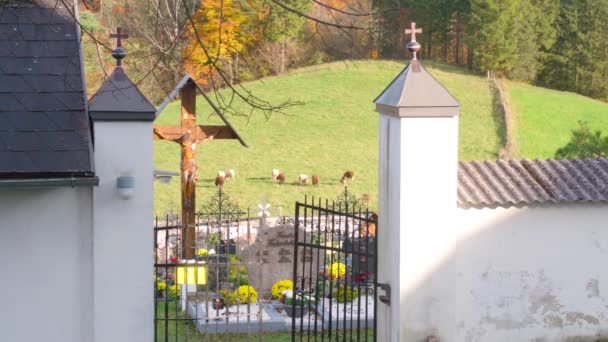 Belo Cemitério Colinas Alpinas Frauenstein Alta Áustria Imagens Alta Qualidade — Vídeo de Stock