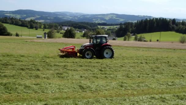 Traktor Mäht Heu Auf Sommerwiese Hochwertiges Filmmaterial — Stockvideo