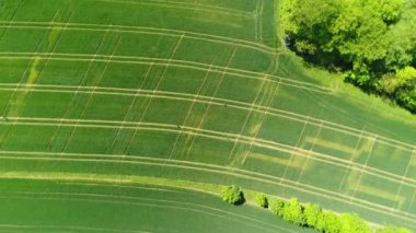 Wieselburg Aşağı Avusturya hava sahaları. Yüksek kalite 4k görüntü