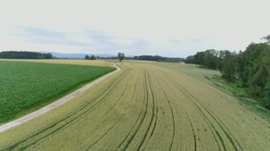 Dolu hasarı olan insansız hava aracı atışı. Yüksek kalite 4k görüntü