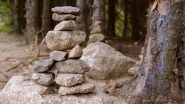 Yaz mevsiminde yürüyüş yolu boyunca uzanır. Yüksek kalite 4k görüntü