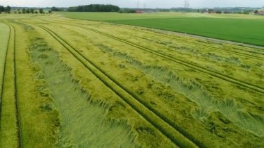 Dolu hasarı olan insansız hava aracı atışı. Yüksek kalite 4k görüntü