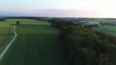 Güneş ağaçların arasından gökyüzüne bakıyor. Yüksek kalite 4k görüntü