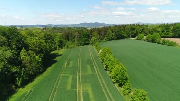 Wieselburg Lower Austria Aerial Pan Fields High Quality Footage — Stock Video