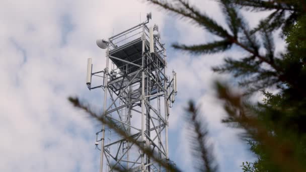 Πύργος Τηλεπικοινωνιών Κλαδί Δέντρου Πρώτο Πλάνο Υψηλής Ποιότητας Πλάνα — Αρχείο Βίντεο