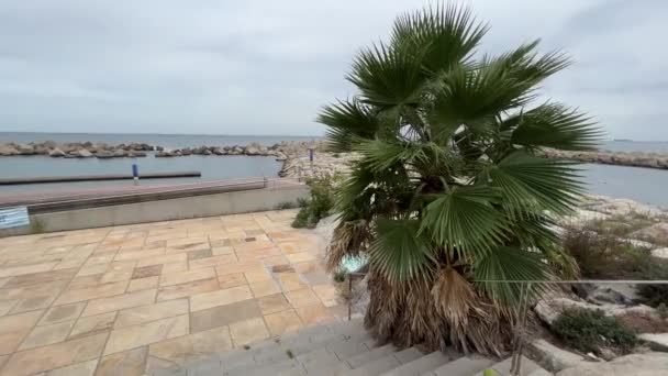 Barcelona Strand Med Palm Och Tomt Torg Högkvalitativ Film — Stockvideo