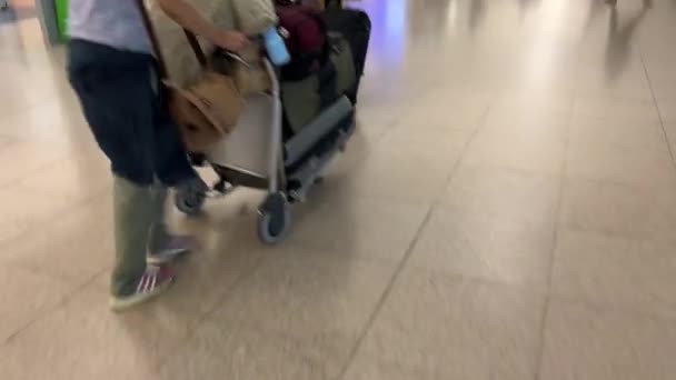 Personas Caminando Cola Con Equipaje Viaje Check Del Aeropuerto Imágenes — Vídeo de stock