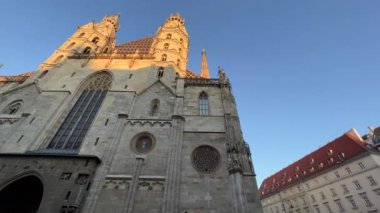 Viyana şehir merkezi Saint Stephens Katedrali ve meydanı. Yüksek kalite 4k görüntü