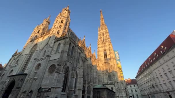 Centro Vienna Cattedrale Santo Stefano Piazza Serata Filmati Alta Qualità — Video Stock