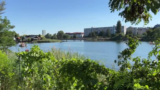 Old Danube Waters Kaisermuehlen Vienna High Quality Footage — Stock Video