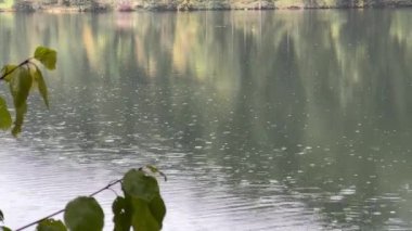 Göl suyuna yağmur yağıyor. Yüksek kalite 4k görüntü