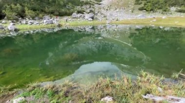 Yukarı Avusturya 'daki güzel alp gölü. Yüksek kalite 4k görüntü