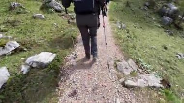 Alp patikasında yürüyüş yapan orta yaşlı kadınlar. Yüksek kalite 4k görüntü
