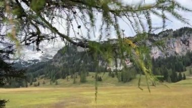 Yukarı Avusturya 'daki Wurzeralm' da yüksek dağlık alp ve dağ sıraları. Yüksek kalite 4k görüntü