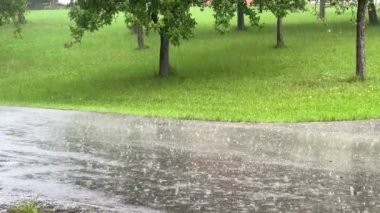 Elma ağacı bahçesinin yanındaki kırsal yolda yavaş yavaş yağmur yağıyor. Yüksek kaliteli FullHD görüntüler