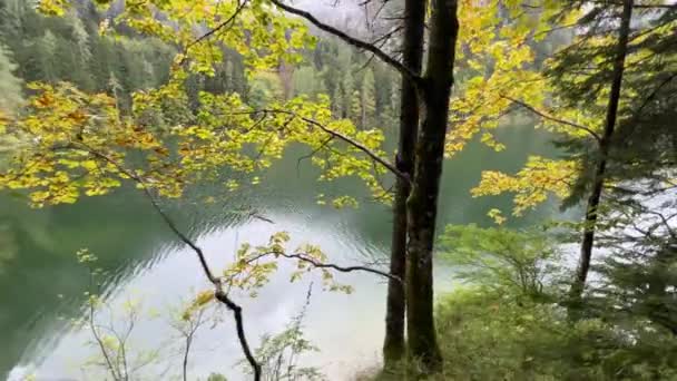 Déšť Alpského Jezera Podzim Vysoce Kvalitní Záběry — Stock video