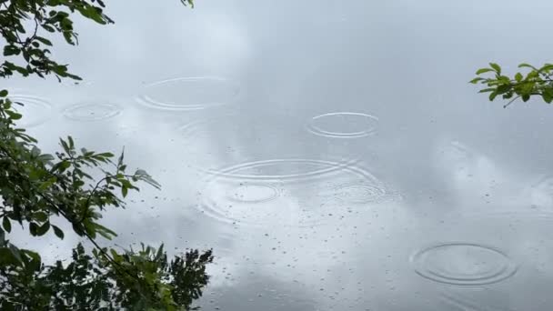 Дощ Падає Воду Озера Високоякісні Кадри — стокове відео