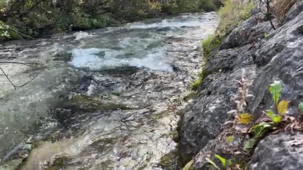Rivière Alpine Avec Doublure Dans Village Images Haute Qualité — Video