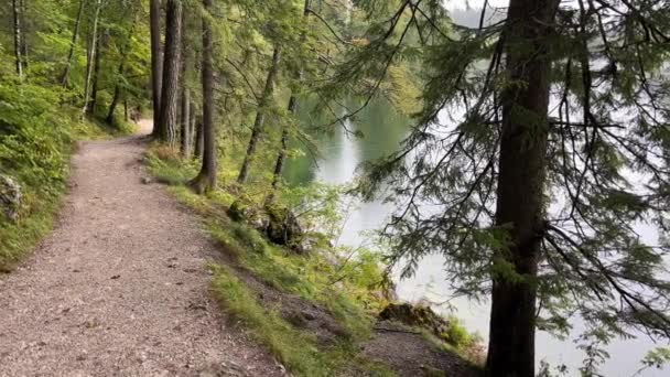 Stezka Podél Alpského Jezera Podzim Vysoce Kvalitní Záběry — Stock video