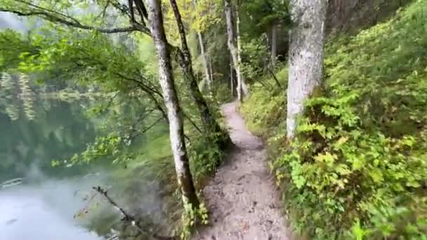 Sentiero Lungo Lago Alpino Autunno Filmati Alta Qualità — Video Stock