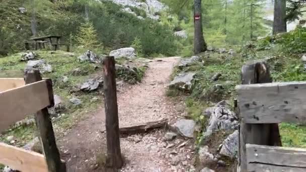 Escursioni Sul Bellissimo Sentiero Alpino Estate Filmati Alta Qualità — Video Stock
