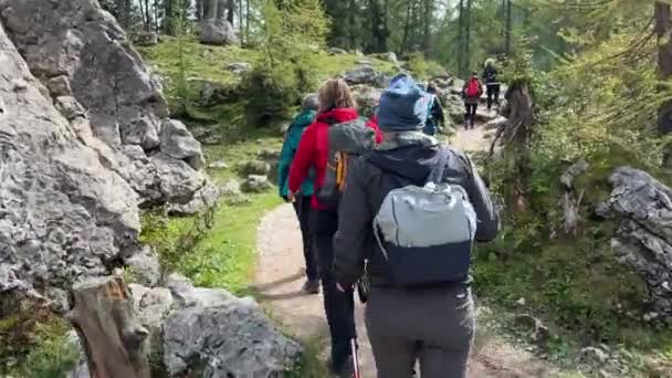 Ženy Středního Věku Kráčející Alpské Stezce Vysoce Kvalitní Záběry — Stock video