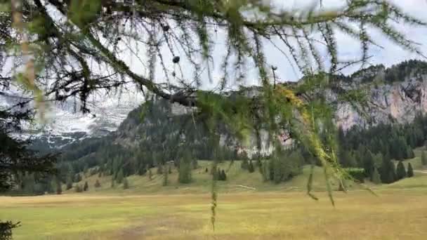 オーストリア北部のWurzeralmにある高山の高層湿原と山脈 高品質4K映像 — ストック動画