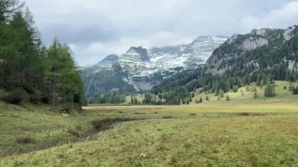 Άλπεων Υψηλή Moor Και Οροσειρά Για Wurzeralm Στην Άνω Αυστρία — Αρχείο Βίντεο