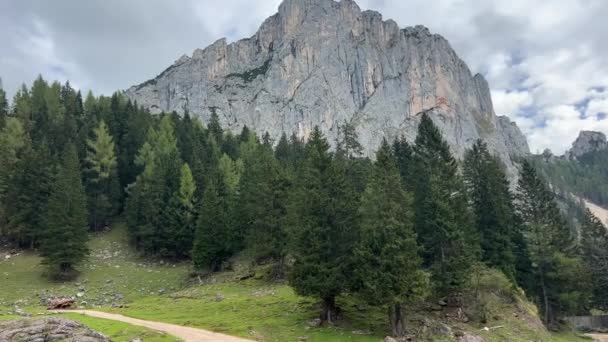 夏天和Rote Wand一起在奥地利阿尔卑斯山的美丽山景 高质量的4K镜头 — 图库视频影像