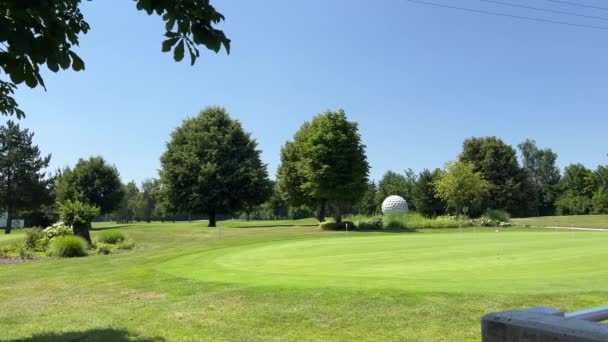 Campo Golfe Com Bola Golfe Gigante Imagens Alta Qualidade — Vídeo de Stock