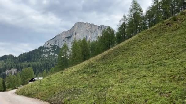 Alta Brughiera Catena Montuosa Warscheneck Wurzeralm Alta Austria Filmati Alta — Video Stock