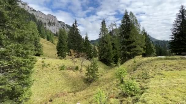 Gyönyörű Hegyi Táj Osztrák Alpokban Nyáron Kiváló Minőségű Felvételek — Stock videók