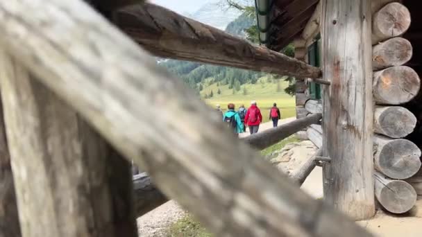 Женщины Среднего Возраста Идущие Альпийской Тропинке Высококачественные Кадры — стоковое видео
